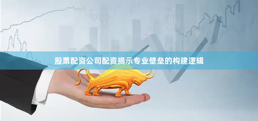 股票配资公司配资揭示专业壁垒的构建逻辑