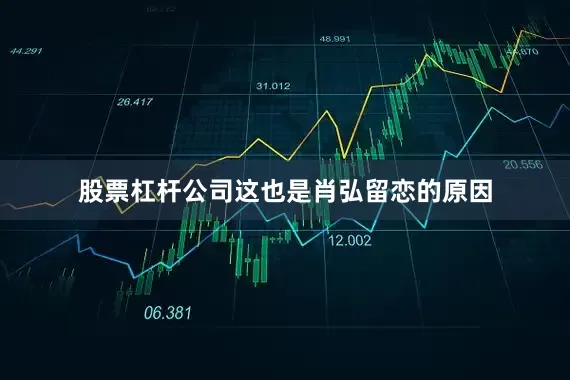股票杠杆公司这也是肖弘留恋的原因