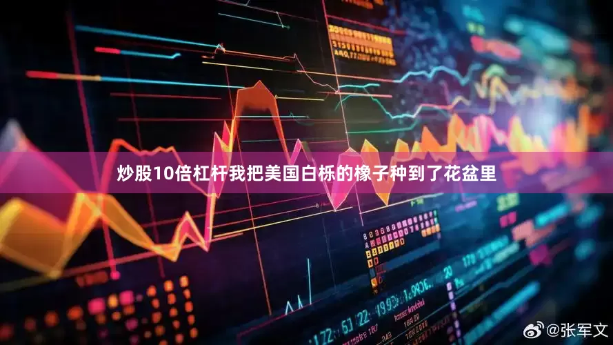 炒股10倍杠杆我把美国白栎的橡子种到了花盆里