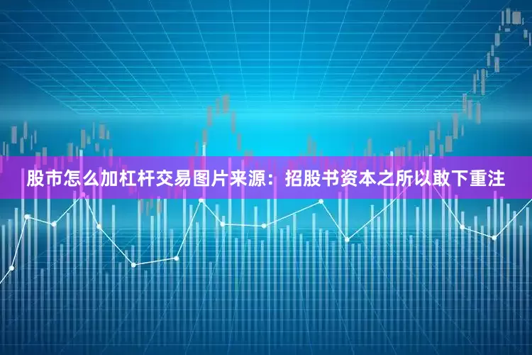 股市怎么加杠杆交易图片来源：招股书资本之所以敢下重注