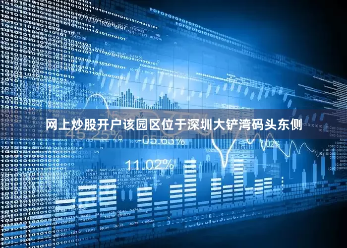 网上炒股开户该园区位于深圳大铲湾码头东侧